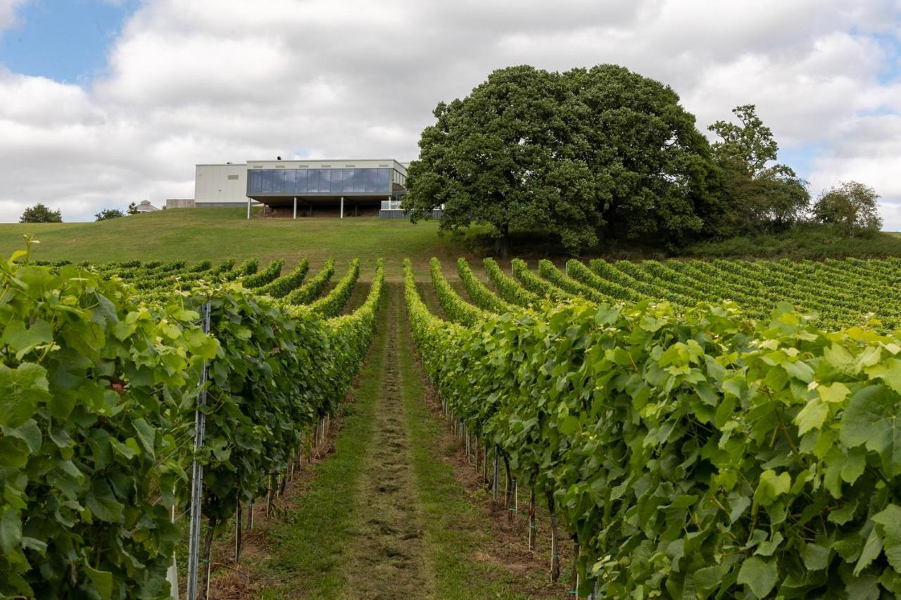 Hencote Vineyard Glamping Village Shrewsbury Exterior photo